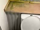 The single toilet.