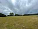 Field view