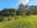 View towards stream