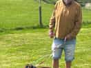 Our dogs loved it x