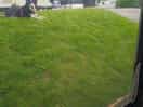 The steep bank right outside the awning