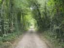 Nice drive to the campsite