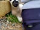 Hide and seek