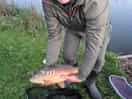 Happy hubby caught the 1st one!