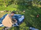 Sure there he is with some birds on a bitta grass.