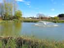Another view of the lake