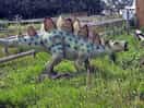 Dinosaurs 🦕