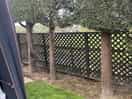Fence around whole site, hedge just for our pitch