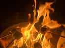 Campfire