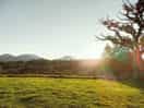 Beautiful view