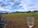 Field
