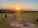 Another stunning sunset