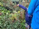 Lovely family friendly walks on the doorstep