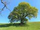 Adstone hill walk