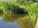 Beautiful loch for fishing and boating