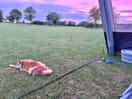Flat land - superb sunsets!