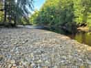 River swale, next to the camp.