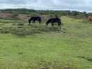 Lovely scenery