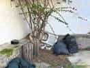 Clutter and junk