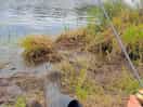 Good fishing spot