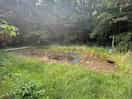 The pool…not in use but i hope it might be at some point.