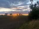 Lovely sunset