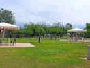 View of pitches and patio area
