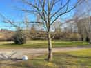 Site