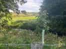 Lovely walk with the dog on the track near the old church