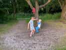 Added bonus of a couple of tree swings to entertain the kids!