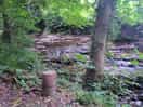 Stream just below cabin