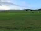 Super view