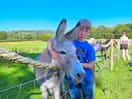 Loving the donkey