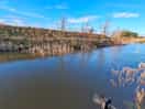 Snake lake