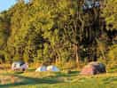 Tent pitches