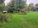 Woodland around the pods