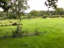 Caravan pitches