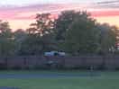 Loved watching the horses.