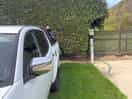 Right side of our pitch showing hedge