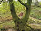 Exploring the woodland walk
