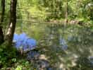 The lake
