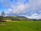 Camping field