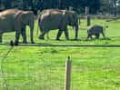 Whipsnade zoo