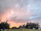 Sunset over the trees