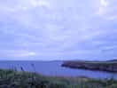View from the site at dusk