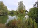 £6 a day for 1 rod or £8 fir 2 rods