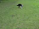 Walk to the pub