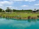 The lake