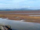 Estuary view