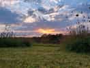 Scenery